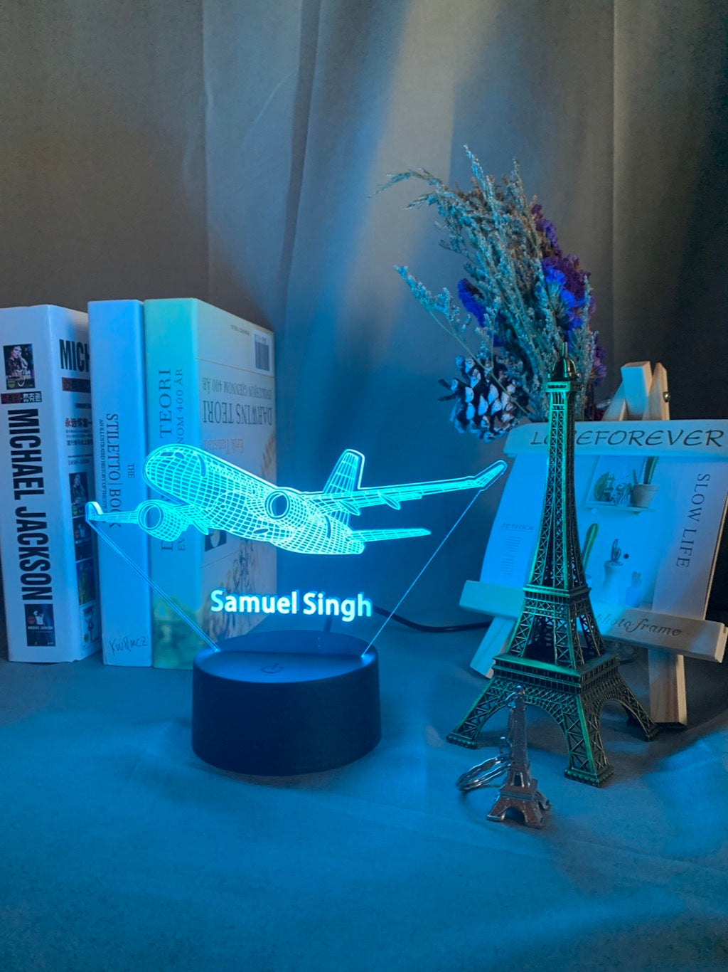 Aircraft Light Hologram | Night Light