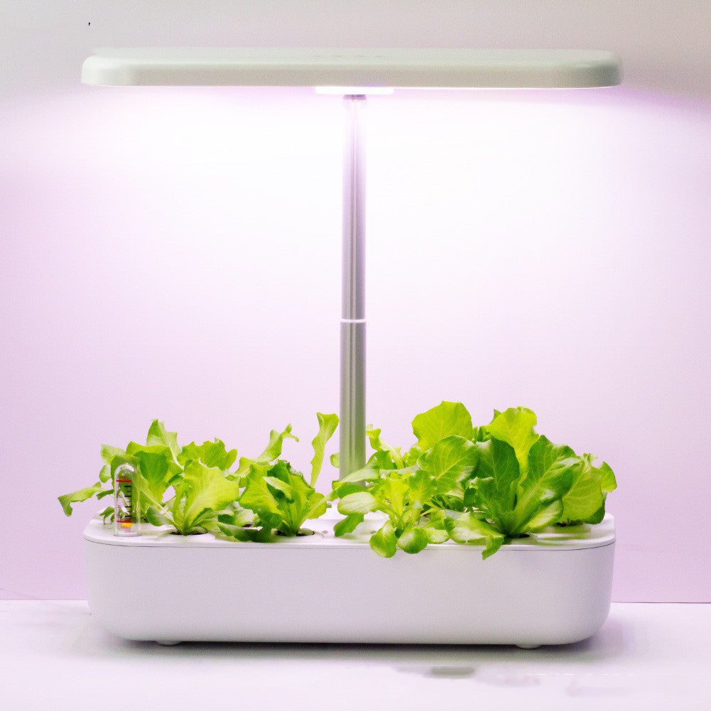Hydroponic Planter | Smart Flower Pot | Indoor Garden