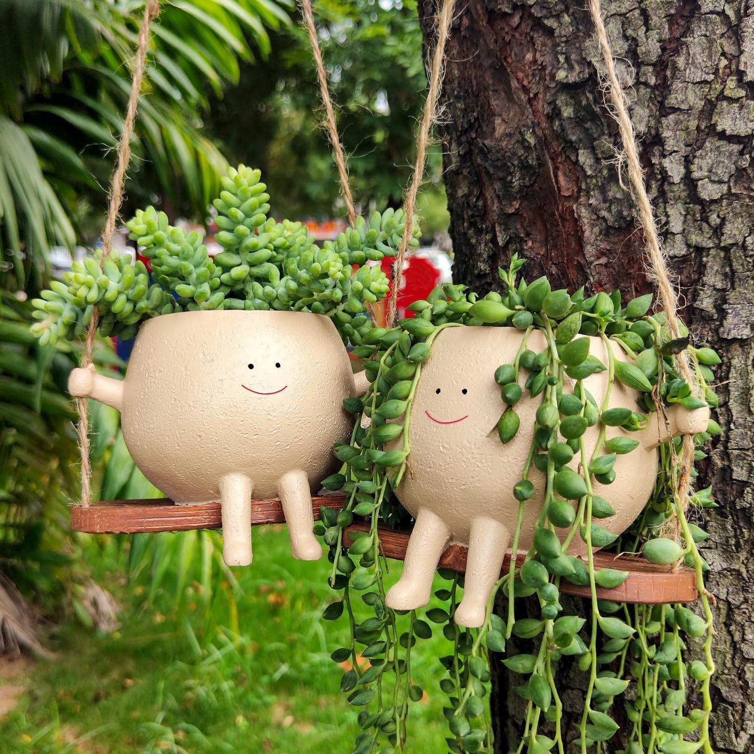 Plant Hanger Baskets | Lovely Swing Face Planter Pot | Succulent Flower Pots | Balcony Wall Hanging Planter