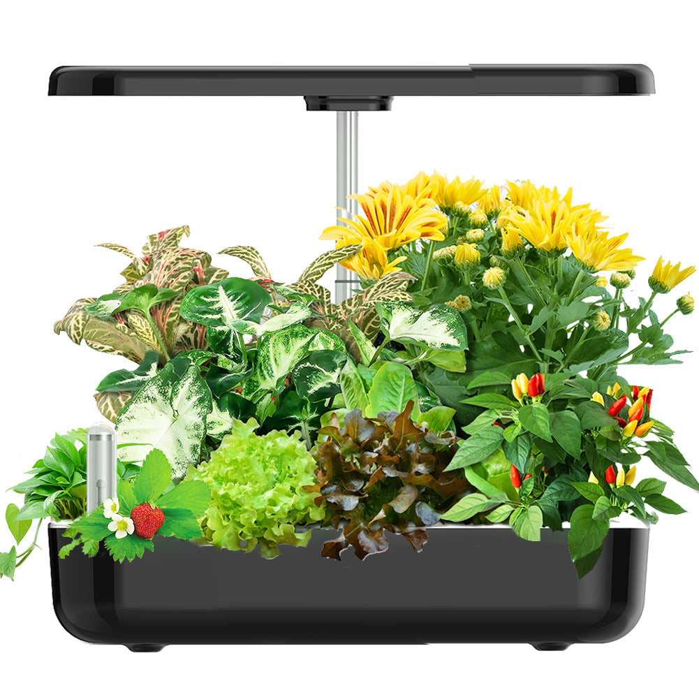 Hydroponic Planter | Smart Flower Pot | Indoor Garden